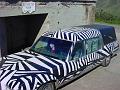 Dazzle Hearse in Restricted Area 2